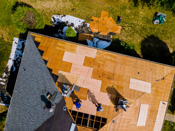 Best Residential Roofing Contractor  in Albany, WI