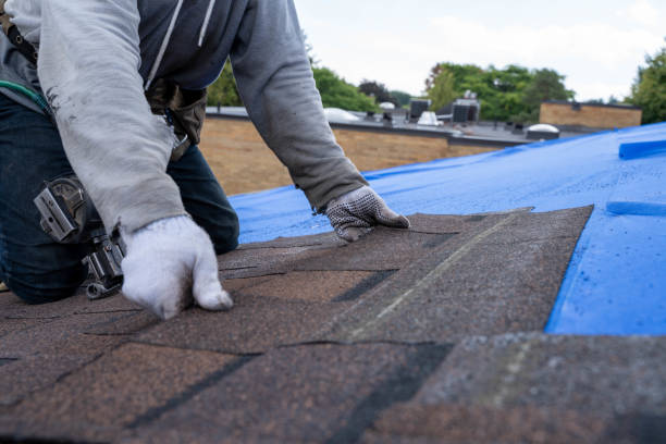 Best Residential Roofing Contractor  in Albany, WI