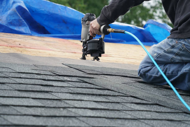 Best Flat Roof Repair Services  in Albany, WI