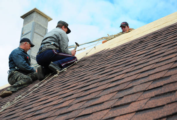 Best Storm Damage Roof Repair  in Albany, WI